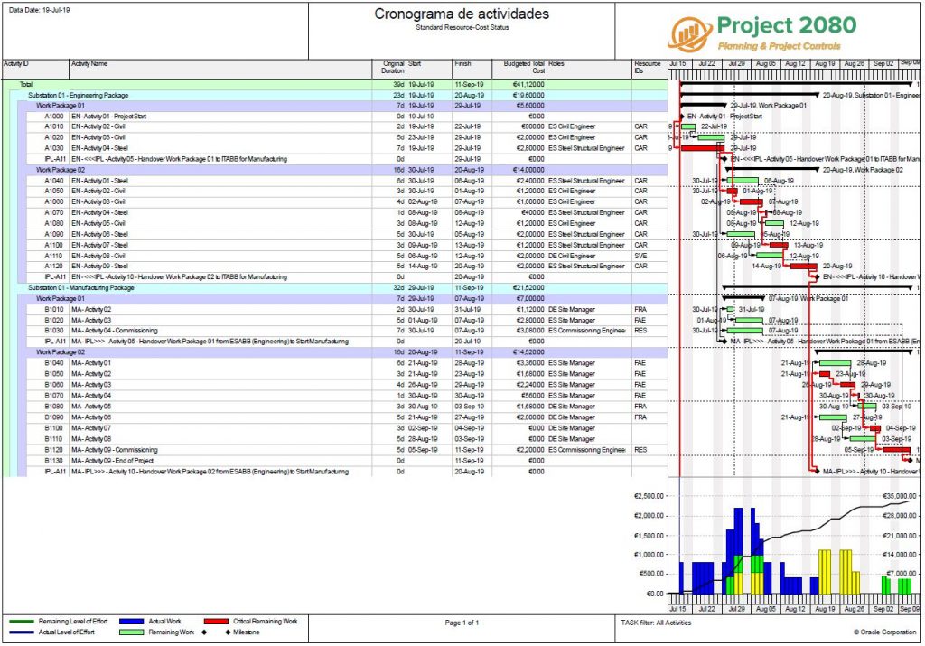 cronograma de actividades de un proyecto project2080