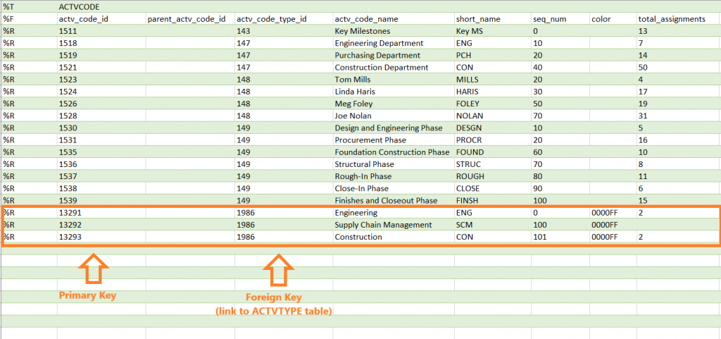 Primavera P6 table ACTVCODE understanding XER file with Excel