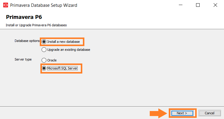 Primavera Database Setup Wizard opciones